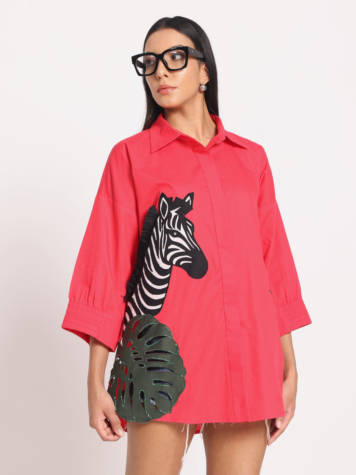 ZEBRA in JUNGLE
