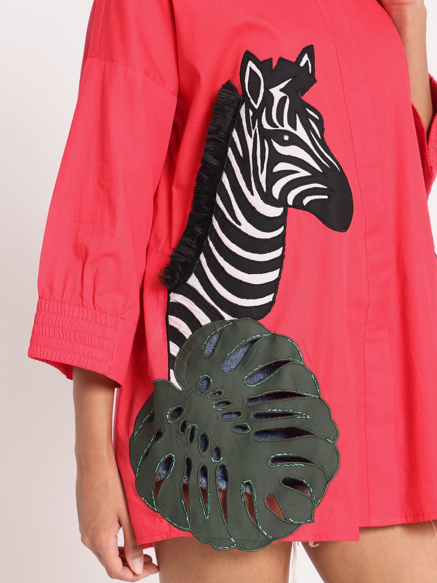 ZEBRA in JUNGLE
