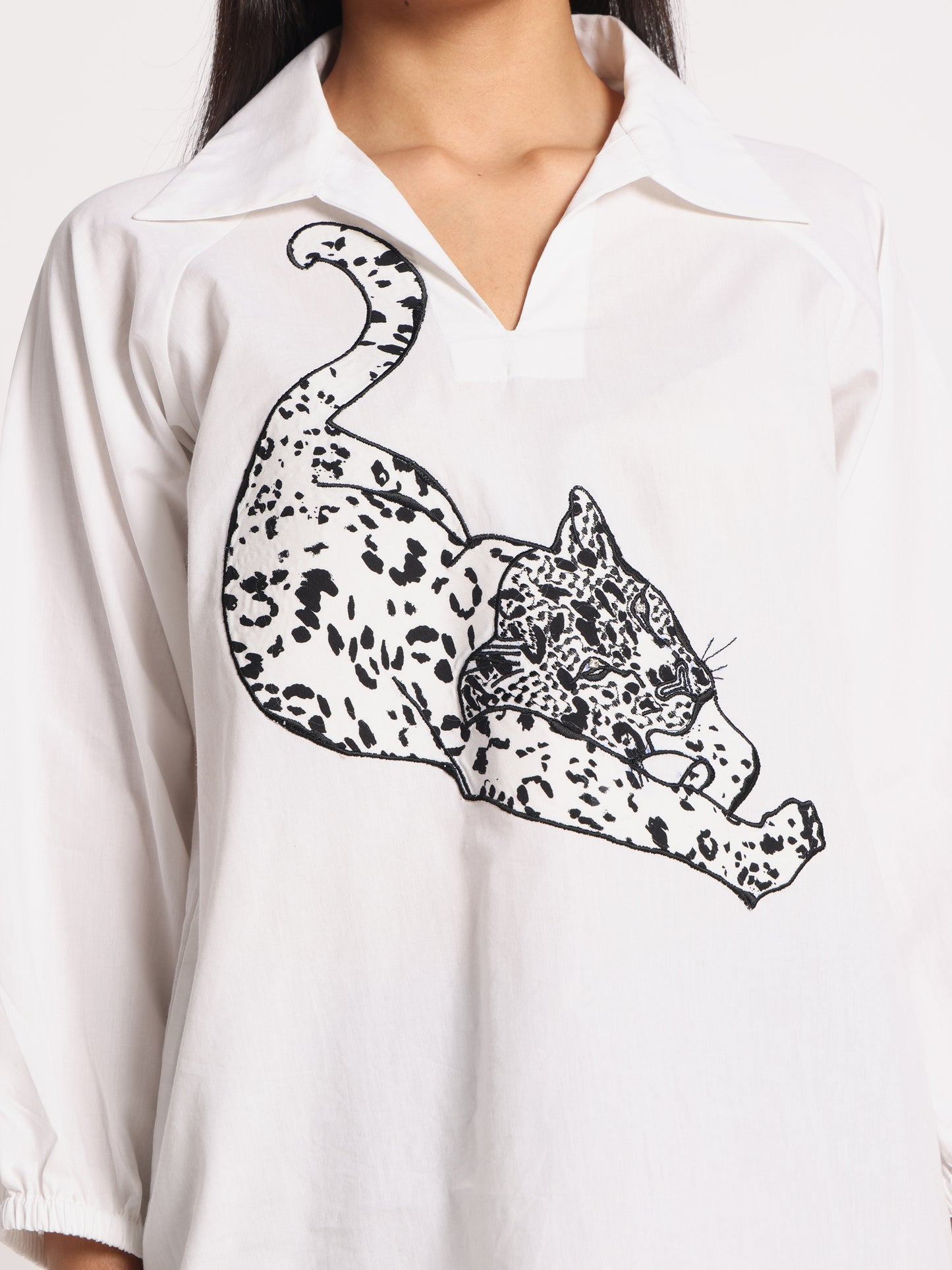 CHEETAH