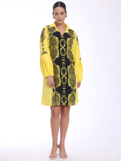 Serpent Dress