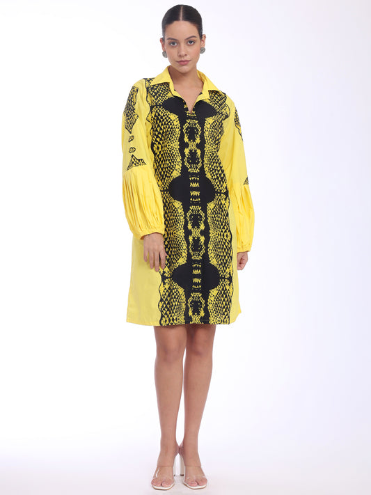 Serpent Dress
